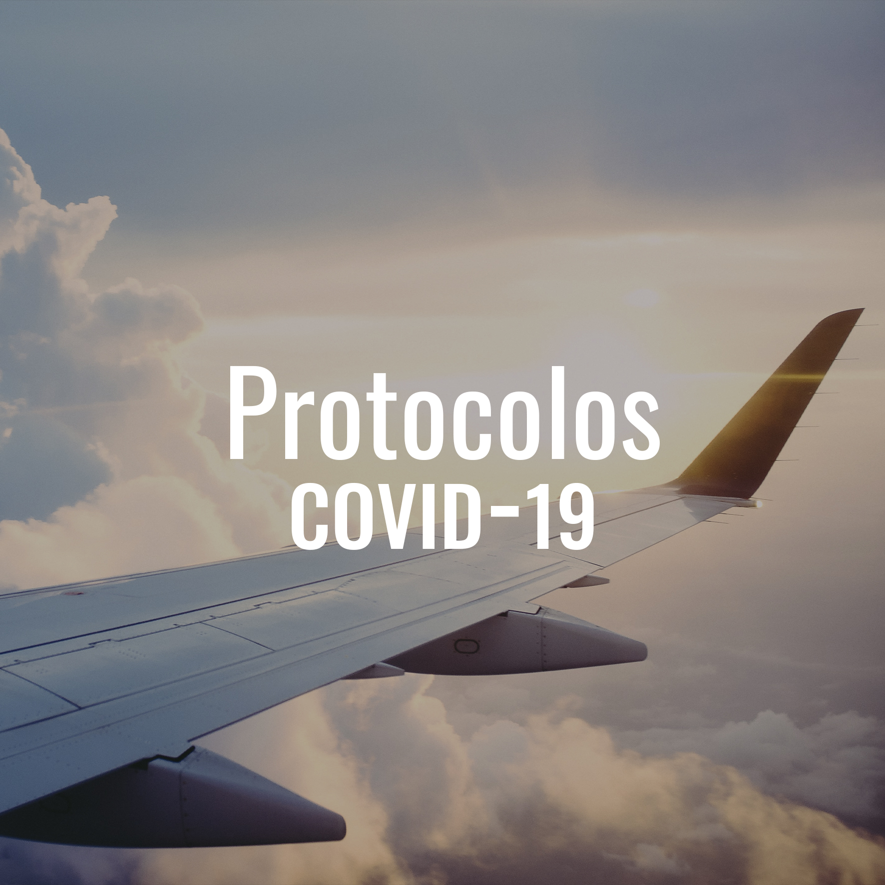 Protocolos Covid-19